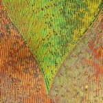 Domain texture of the newly discovered phase (image from a polarizing microscope).