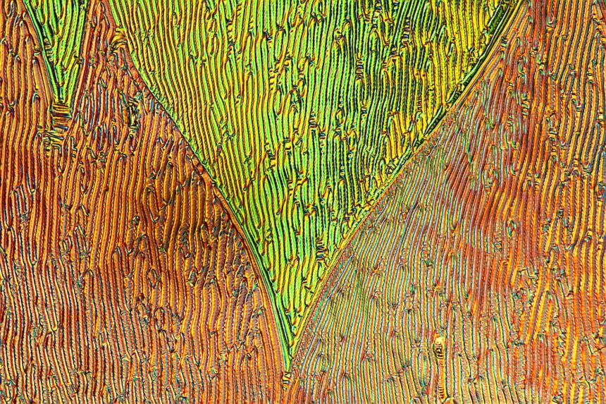 Domain texture of the newly discovered phase (image from a polarizing microscope).