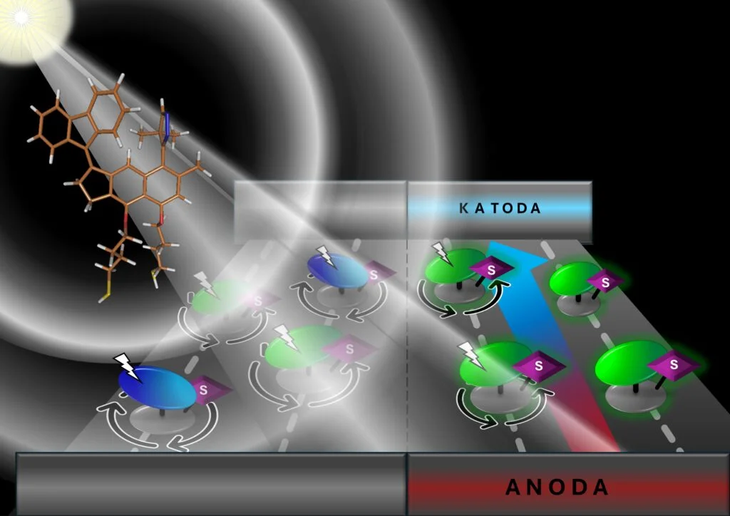 Schematic of the pulse-induced electric field used to switch the direction of molecular motors.