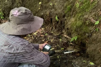 Measuring the physical and chemical properties of spring water near Nowe Miasto nad Pilicą.