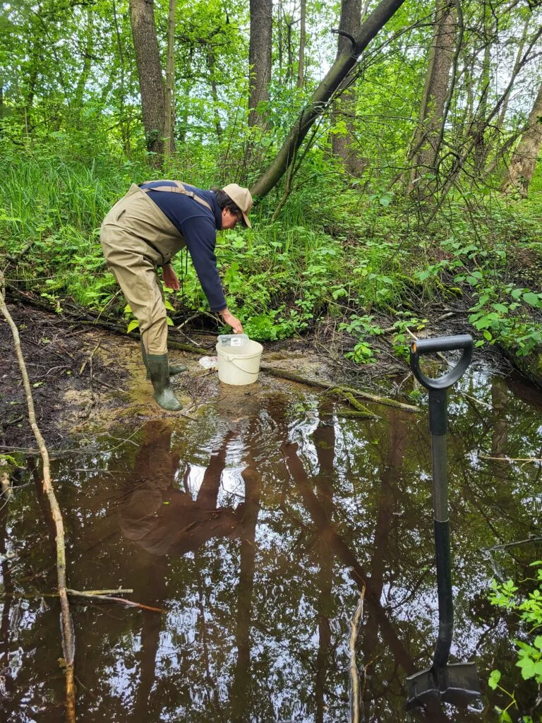 At a groundwater outflow in the upper Jeziorka Valley.
