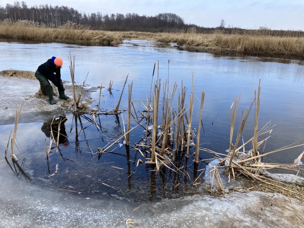 The researcher in the field, 2024. Photo by G. Bulisova