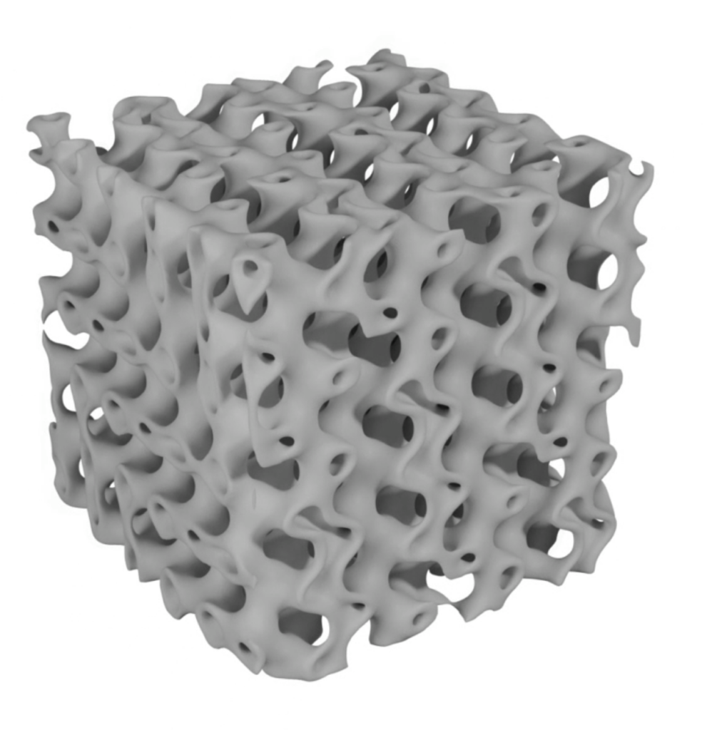 A 3D model of a prolamellar body created by the research team. Source: Faculty of Biology, University of Warsaw