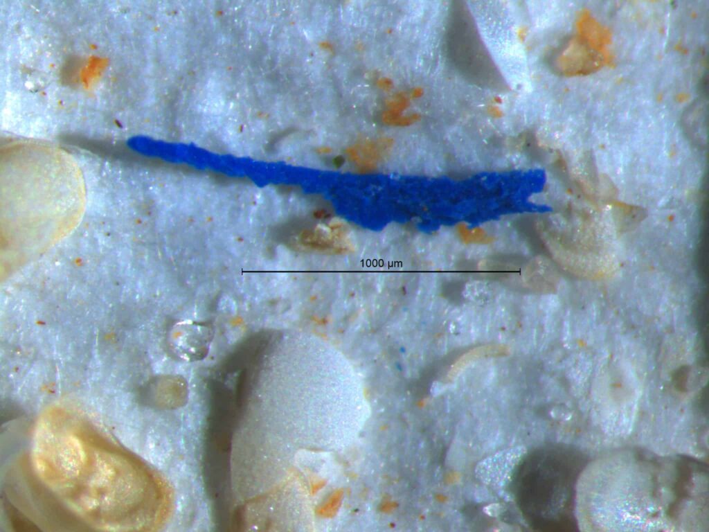 mikroplastik-w-jeziorach-na-Mazurach-1