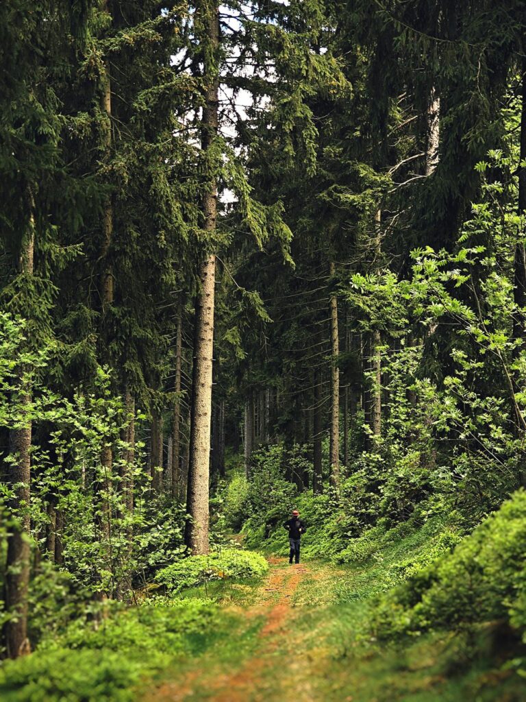 pexels-lost140601-1098624128-22915799