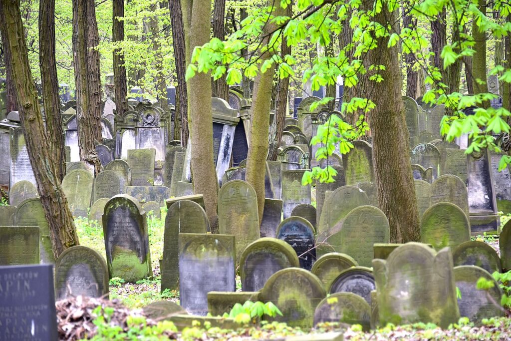 Cmentarz_zydowski_w_Warszawie