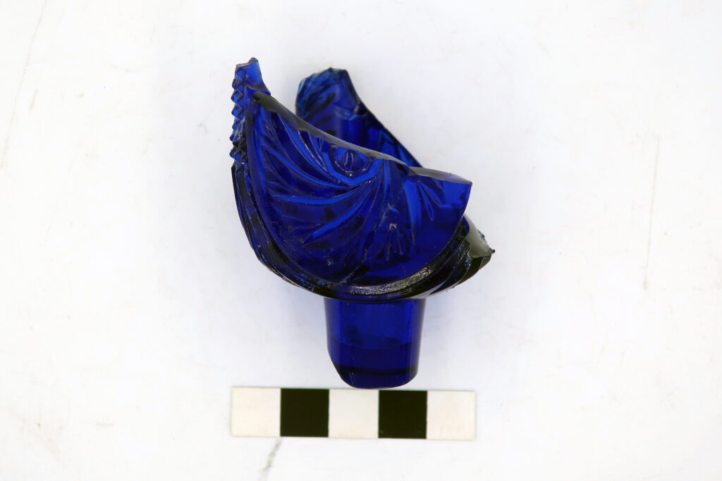 Fig_19