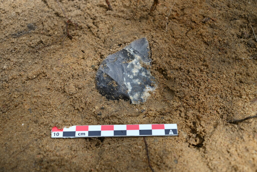 fragment noża krzemiennego