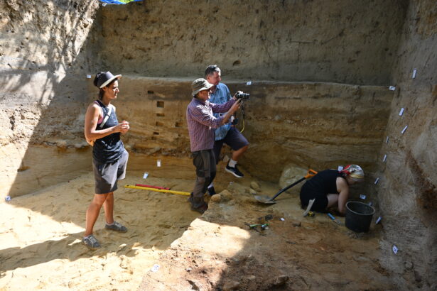 pobieranie-probek-scaled