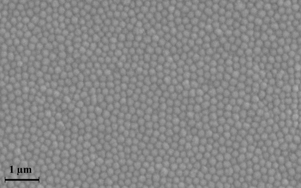 mikrożele na powierzchni elektrody