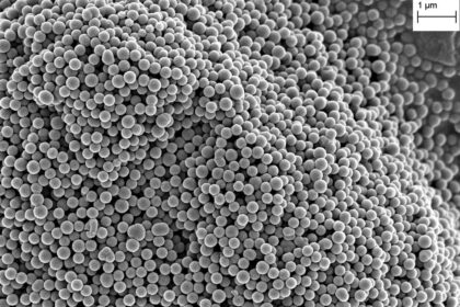 mikrozele-zdjecie-SEM