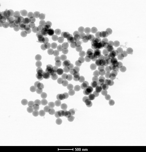 mikrozele-zdjecie-TEM-1