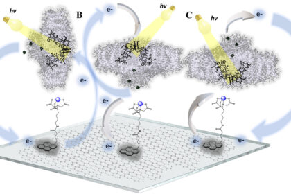 adfm72714-fig-0001-m
