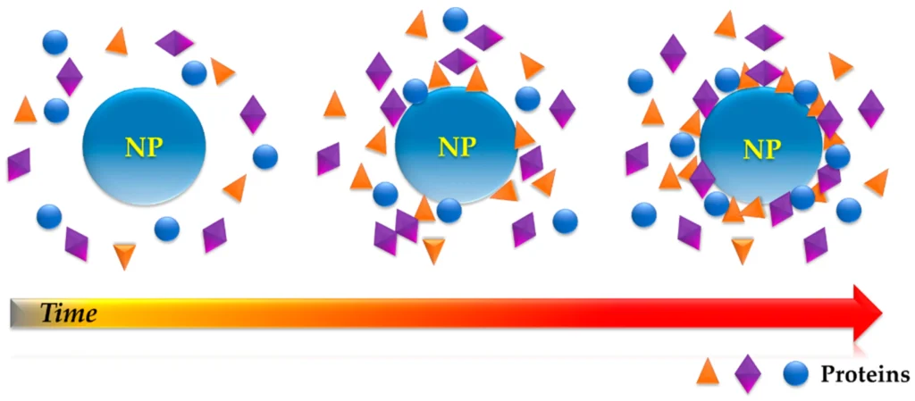  nanomaterials-11-00888-g001