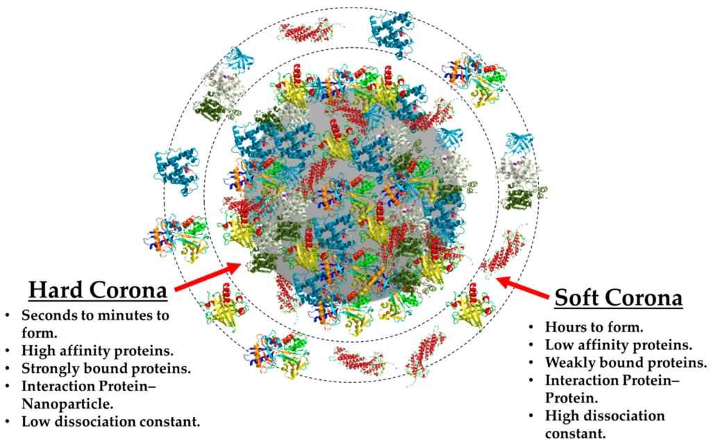 nanomaterials-11-00888-g005-scaled