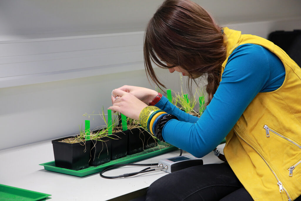 12_w_laboratorium_pomiary