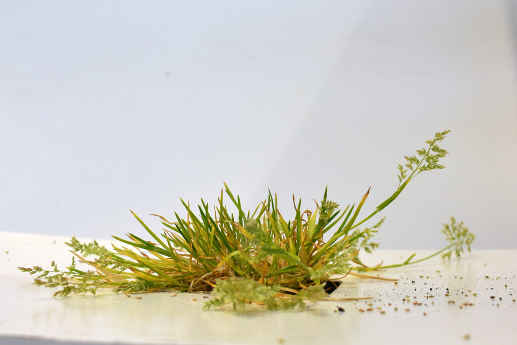 14_Widok-z-boku-drugi-sezon-Antarktyka