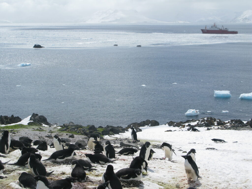4_ludzie_w_Antarktyce_statek_brazylijski