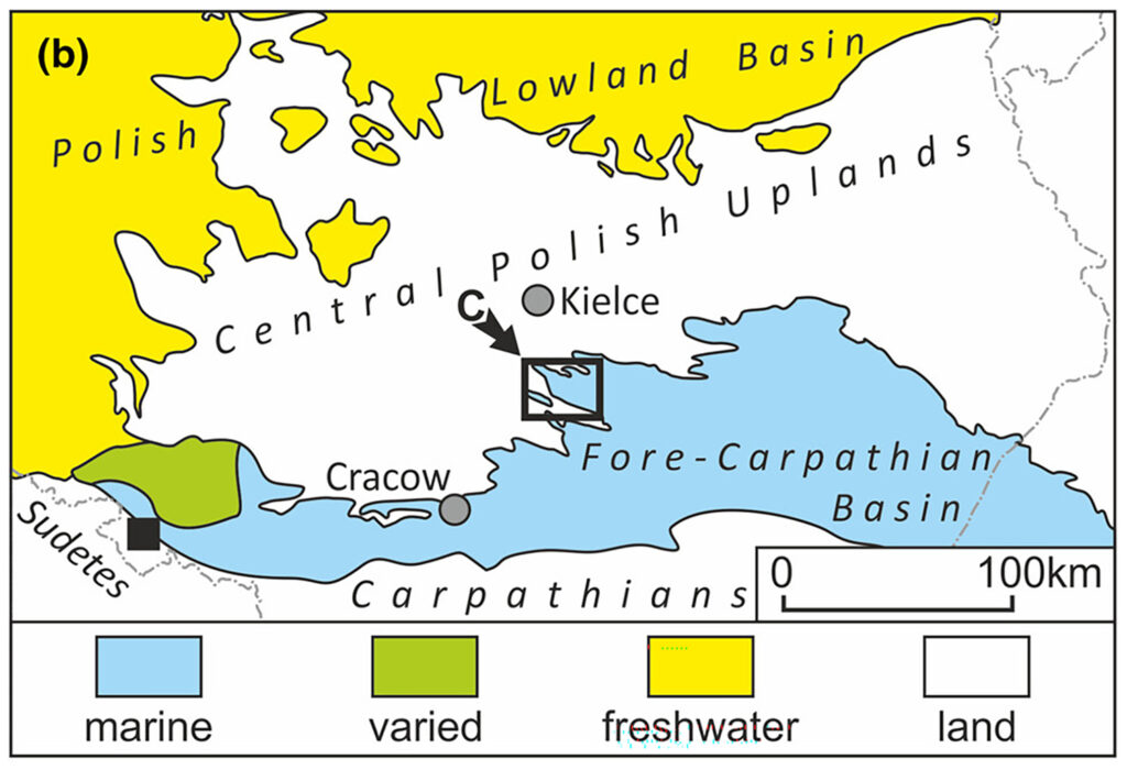TRIONYX_MAPA_B