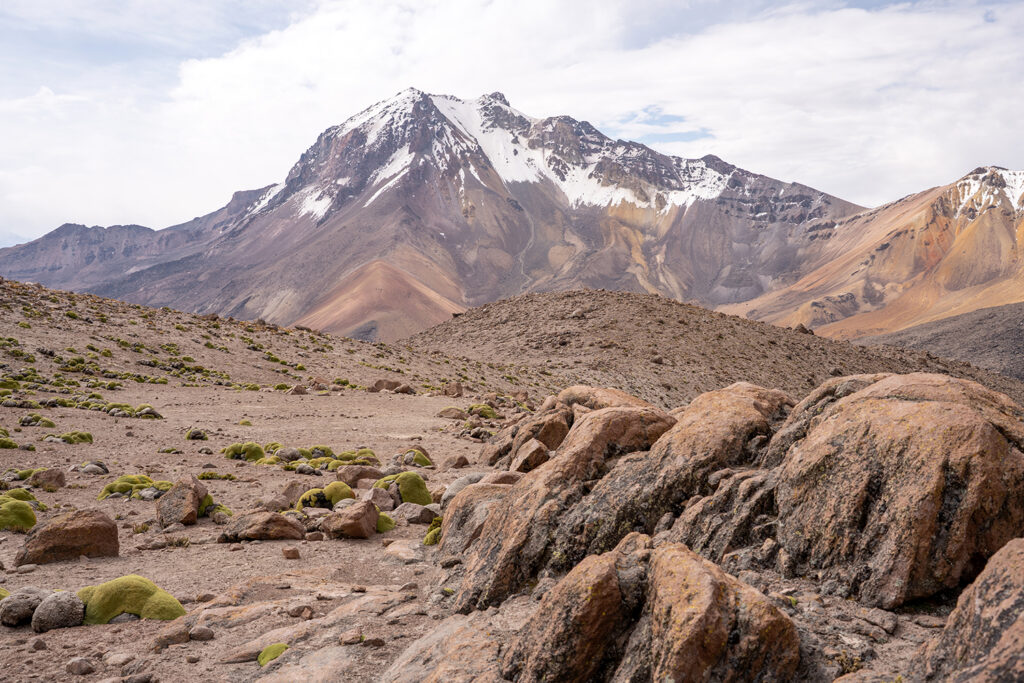 widok-na-nokarane-for-M.-Ambroziak