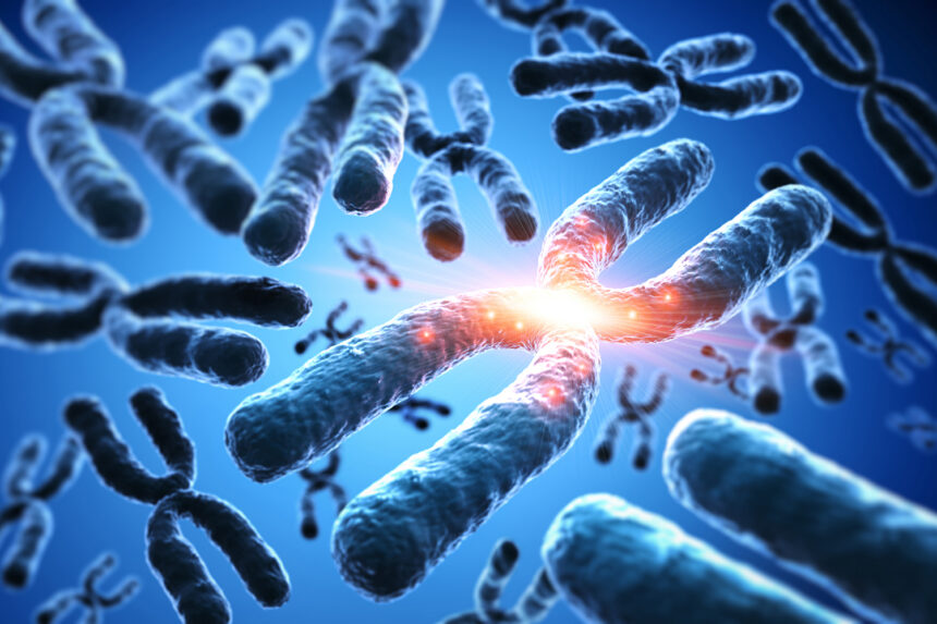 AdobeStock_170354967