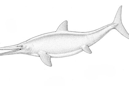 fig-3_-kadr_back_up_-zajawki-scaled.j