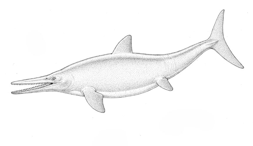 fig-3_-kadr_back_up_-zajawki-scaled.j