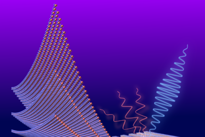 siatkaMoSe_openscad3_kadr