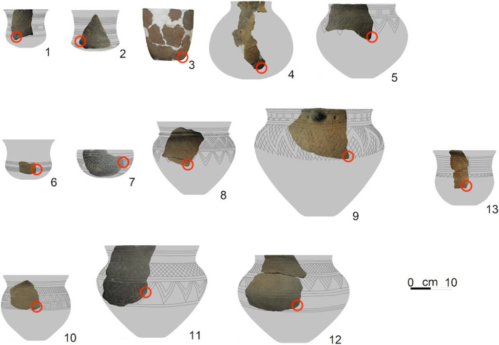 Naczynia ceramiczne z zaznaczonymi miejscami poboru próbek do analiz chemicznych. 1–5 – stanowisko 3 w Supraślu, obiekt 1; 6–9 – stanowisko 3 w Supraślu, obiekt 2; 10 – stanowisko 3 w Supraślu, obiekt 5; 11–12 – stanowisko 3 w Supraślu, obiekt 6; 13 – stanowisko 49 w Skrzeszewie, obiekt 1. Źródło: doi.org/10.1111/arcm.70024