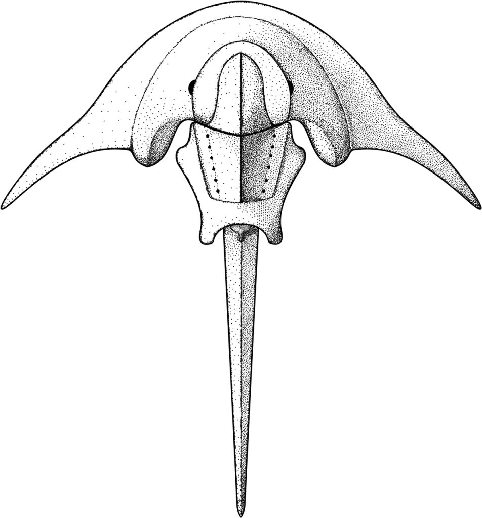 fig-11-full