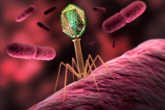 BAKTERIOFAGI_13_ADOBE