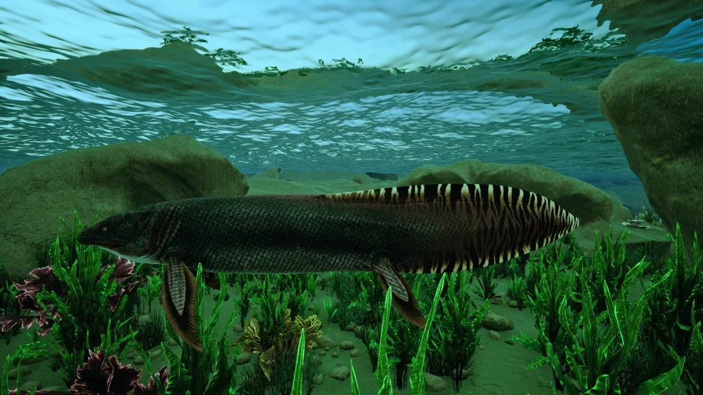 ARGANODUS_01