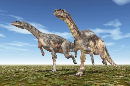 PLATEOZAUR__01