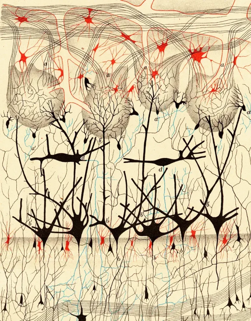 WYSTAWA_WLS_05